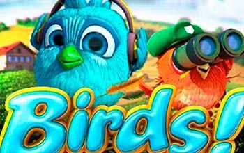 Birds