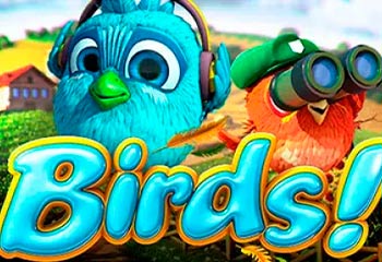 Birds